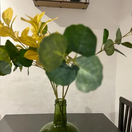 Playa - 2 Apartman *